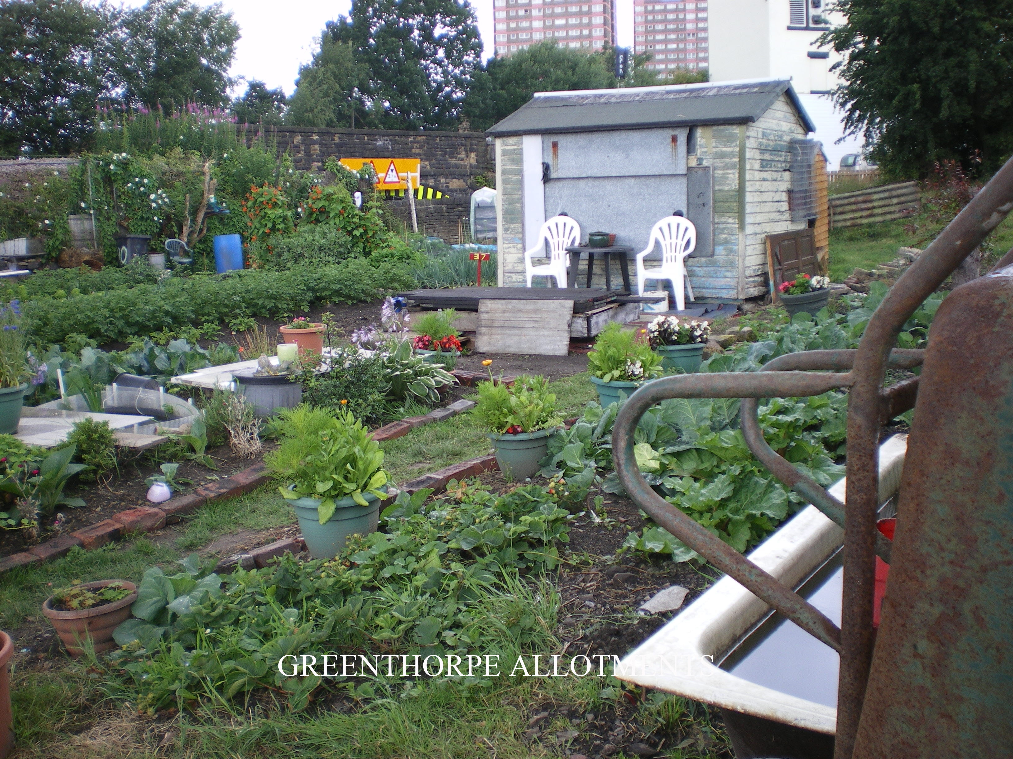 greenthorpe
